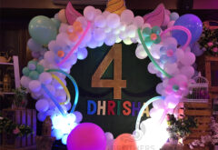 Dhrisha’s Birthday Party Decor